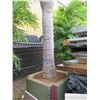 Image 3 : Tall Royal Palm Tree in Concrete Base Planter