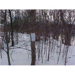 MI Genesee - 2005 FLUSHING RD