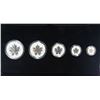 Image 3 : 2013 Silver Maple Leafs 5x Coins .9999 Pure Silver Fractional Luxury Set
