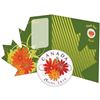 Image 1 : 2010 Thank you Card Coloured 25 Cent Flower Quarter Mint