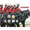 Image 1 : 2010 Canadian RCMP 6x Coin Uncirculated Set in Display Board