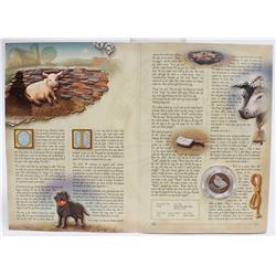 2002 Canada Silver Proof Pig Half Dollar 50 Cent Coin Story Book