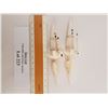Image 2 : Inuit Ivory Carved Figurines  Signed by M.Milligrock