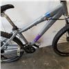 Image 2 : GREY NORCO BIKE