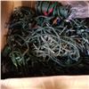 Image 3 : 2 BOXES OF CHRISTMAS LIGHTS
