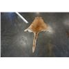 Image 2 : SMALL ANIMAL PELT KANGAROO