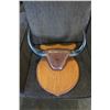 Image 1 : MOUNTED AUTHENTIC BULL HORNS