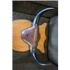 Image 2 : MOUNTED AUTHENTIC BULL HORNS