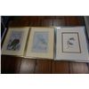 Image 1 : 3 FIRST NATIONS PRINTS