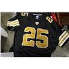 Image 2 : LOT OF SPORTS JERSEYS