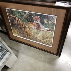 LEP LION IN THE WEEDS SEEREY LESTER 87 3FT BY 4FT PRINT