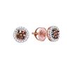 Image 1 : 10K Yellow-Gold 0.25CTW DIAMOND FASHION EARRING