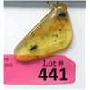 Image 1 : Large Baltic Amber Pendant with Insect Inclusions