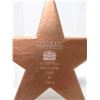 Image 2 : Geiger Edelmetalle 500 Gram .9999 Copper Star