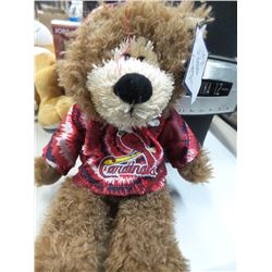 New Cardinal bear