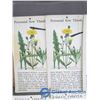 Image 2 : Plants Flash Cards