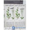 Image 3 : Plants Flash Cards