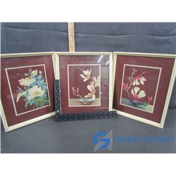 (3) Framed Flower Pictures