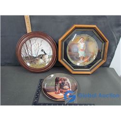 Collector Plate & Decor