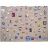 Image 3 : Board Full of Pins