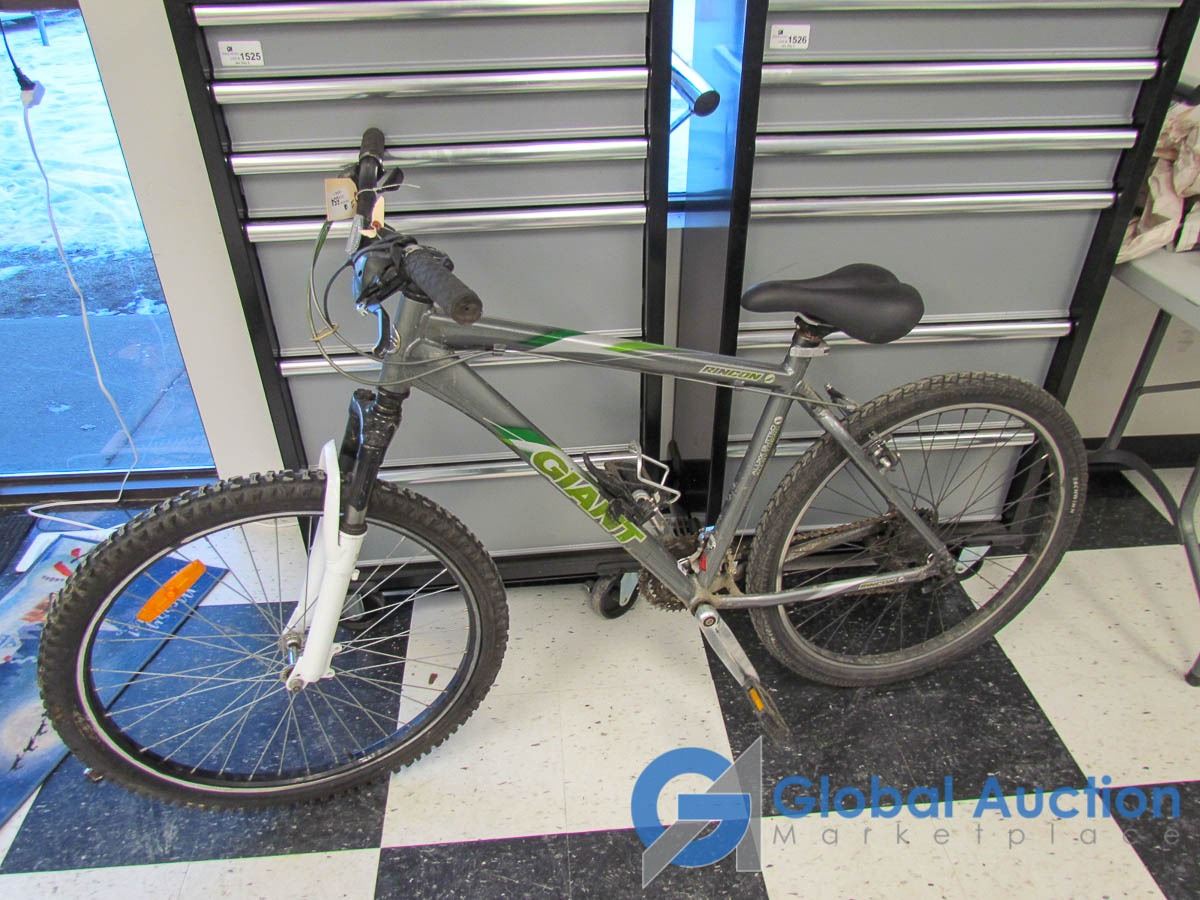 grey giant mountain bike