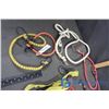 Image 2 : Assorted Bungy Cords