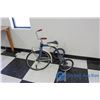Image 1 : Juvenile Leader Tricycle (Blue)
