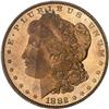 Image 1 : 1882 Morgan Dollar PCGS MS64 PL