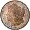Image 1 : 1880 Morgan $1 PCGS MS66