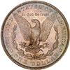 Image 2 : 1880 Morgan $1 PCGS MS66