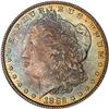 Image 1 : 1882 Morgan $1 PCGS MS65
