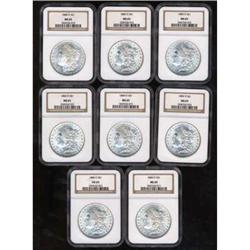 1884-O Morgan Dollar NGC MS65