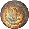 Image 2 : 1887 Morgan Dollar PCGS MS64