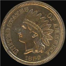 1859 Indian Head Cent RAW