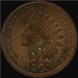 1901 Indian Head Cent RAW BN