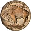 Image 2 : 1915 Buffalo 5c NGC PF66