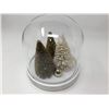 Image 1 : Glass Dome Tabletop Christmas Tree Ornament