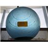 Image 1 : Exercise ball (weighted)