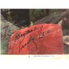 Image 2 : ORIGINAL 1951 LOBBY CARD SIGNED BY PINKY LEE