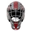 Image 1 : Dominik Hasek Signed Red Wings Full Size Goalie Mask (JSA COA)
