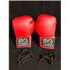 Image 1 : RIVAL BOXING GLOVES (BRAND NEW)