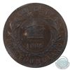 Image 3 : Newfoundland 1-cent 1885 ICCS Certified EF-40