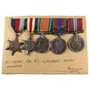 Voluntary WWII Medal, 1939-1945 War Medal, The Defense Medal, The 1939-1945 Star, The France and Ger