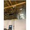 Image 2 : 2 Ton Coffing Hoist