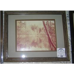 Matted and framed photo of a stream and wood scene