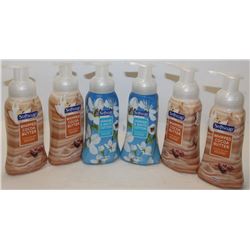 BAG OF 6 ASSORTED SOFTSOAP FOAMING HANDSOAP