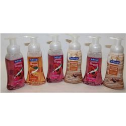 BAG OF 6 ASSORTED SOFTSOAP FOAMING HANDSOAP
