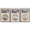 Image 2 : (3) SILVER AMERICAN EAGLES