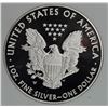 Image 2 : 2013 AMERICAN SILVER EAGLE