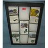 Image 1 : Collection of vintage US encased state quarters